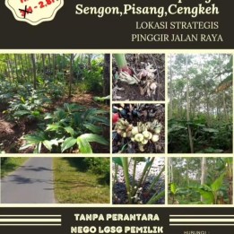 Jual tanah kebun produktif