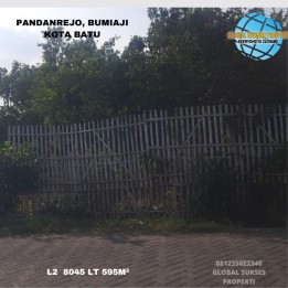 Tanah Luas Subur Dan Ada Pohon Jeruk Area Dekat