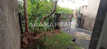 Jual Rumah Perlu Renov 3 Lantai Ada Pool Dekat Dyatmika School Padanggalak