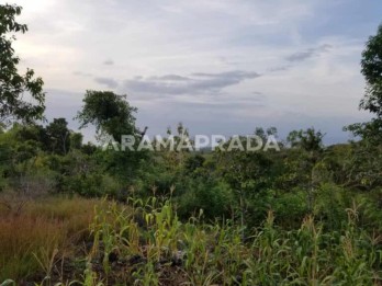Jual Tanah 10 Are View Laut Nusa Penida Klungkung