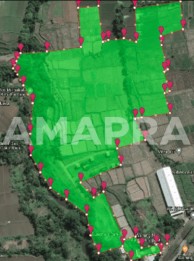 Jual Tanah 6 Hektar Lebih Pinggir Jalan Ida Bagus Mantra Gianyar