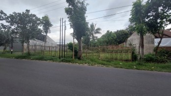 Jual Tanah di Karangduren Pakisaji Malang